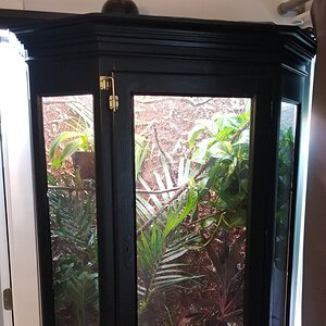 20201007_225711.jpg