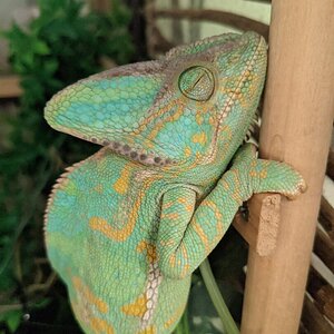 Sleepy Time