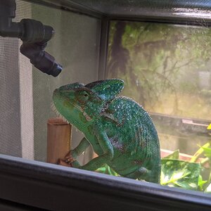 Shower time