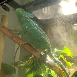 Love that shower time