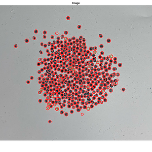 eggs7-359.png