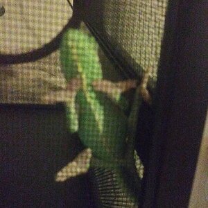 20201102_205500.jpg