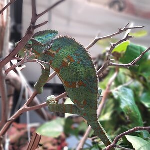 20201118_141646.jpg