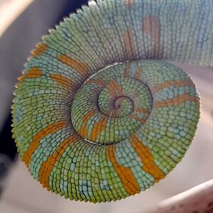 20201119_183457.jpg