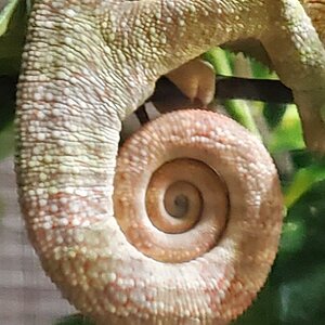 20201211_222025.jpg