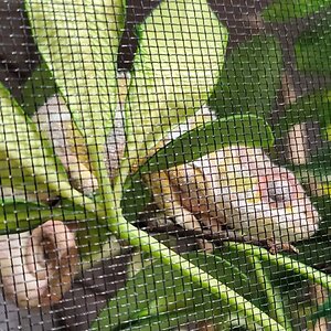 20201207_140458.jpg