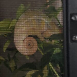 20201205_214939.jpg