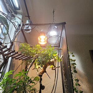 20210103_121405.jpg