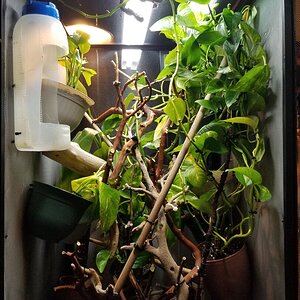 20210204_191638.jpg