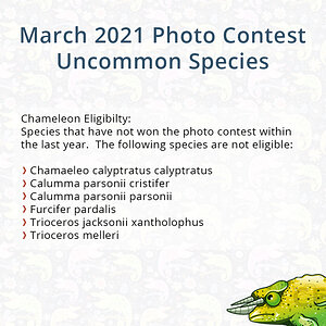 Uncommon Species