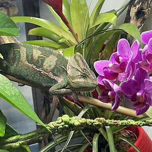 Spring has sprung!