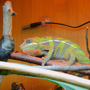 DSCN3471.JPG