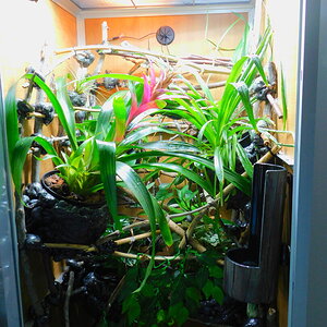 DSCN3484.JPG