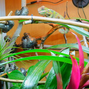DSCN3488.JPG