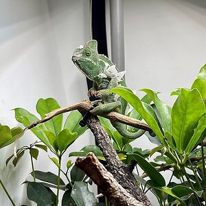 Well human I just had it.....I´m on a period and I want my food...NOW!!!!
