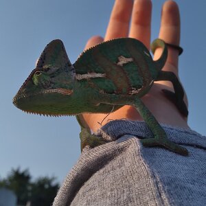Adventure is out there!