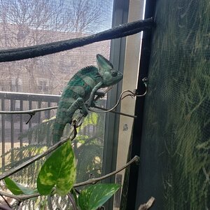 20220214_111612.jpg