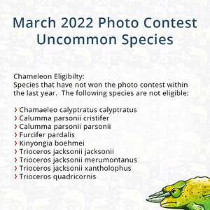 Uncommon Species