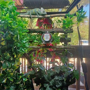20211230_132703.jpg