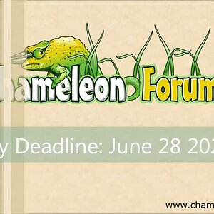 Chameleon Video Contest - Summer 2022