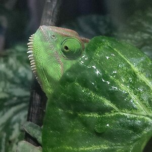 I see you!
