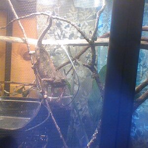 IMG_20220828_100656.jpg