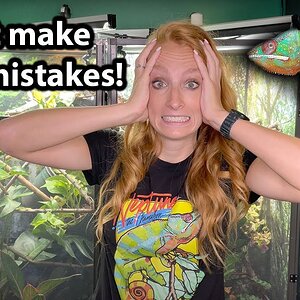 5 mistakes chameleon owners make!