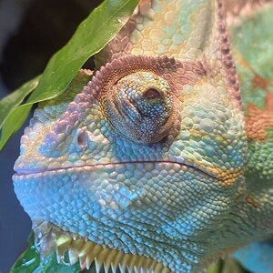F77237F0-30C0-4A19-B74C-C138094EE14D.jpeg