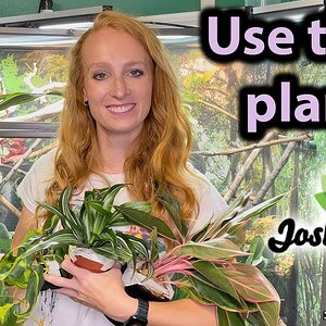 Chameleon Safe Plants! | Josh's Frogs Plant Unboxing