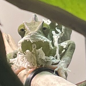 Shedding that summer bod for the winter skin