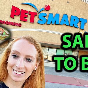 Chameleon products you CAN buy at PetSmart