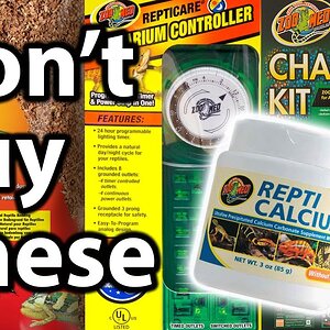 What NOT to buy for your chameleon