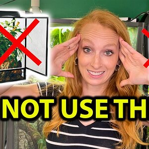 DO NOT USE THESE FOR YOUR CHAMELEON