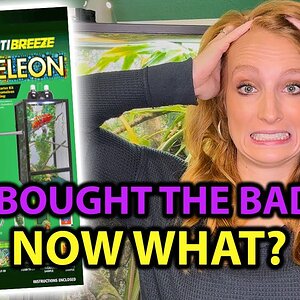 How to fix the Zoo Med chameleon kit