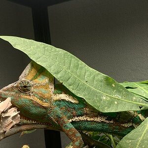 7B74795D-6406-45D8-B1A3-88D63738D724.jpeg