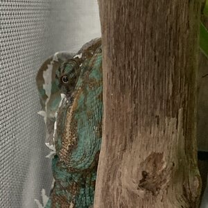 9D56533A-C9F6-4B68-AD72-BB13F933DDDF.jpeg