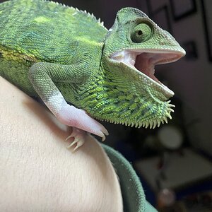 Angry!!!