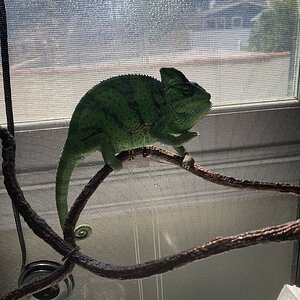 IMG_4794.jpeg