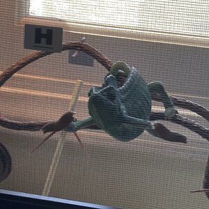 IMG_4894.jpeg
