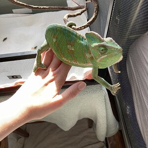 IMG_4919.jpeg