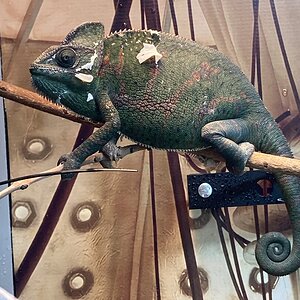 IMG_5095.jpeg