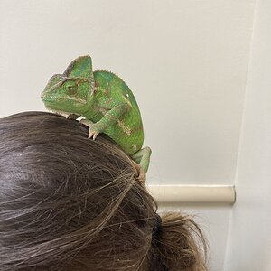 IMG_6219.jpeg