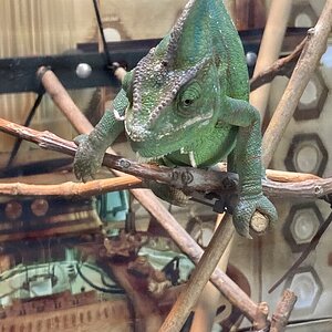 IMG_6419.jpeg
