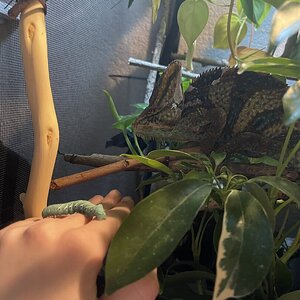 IMG_5383.jpeg