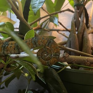 IMG_5382.jpeg