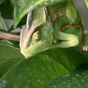 IMG_8044.jpeg