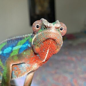 Hey you kids! Get off my lawn!