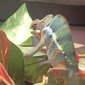 the side eye