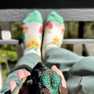 hanging on the deck