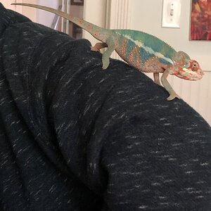 don't mind me